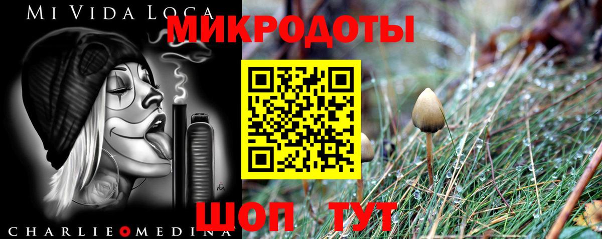 Галлюциногенные грибы Psilocybe Ханты-Мансийск