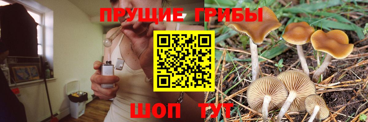 Ханты-Мансийск  Галлюциногенные грибы Psilocybe  Галлюциногенные грибы мицелий  Вход с VPN 